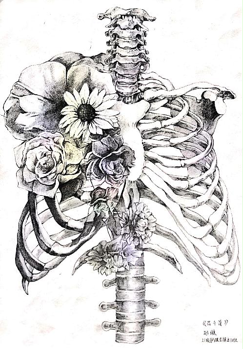 提升了学生对人体结构的理解与认知,拓展了学生的动手绘图能力,激发了