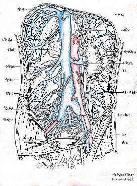 2020级临本9班范怡然《心脏》三等奖2020级临本2班陈思城《速度与激情